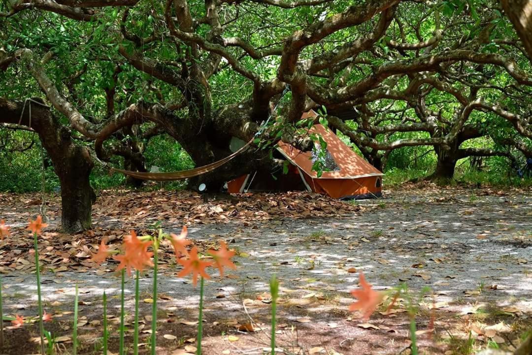Cashew Nut Bungalow, Ko Mook Exterior photo